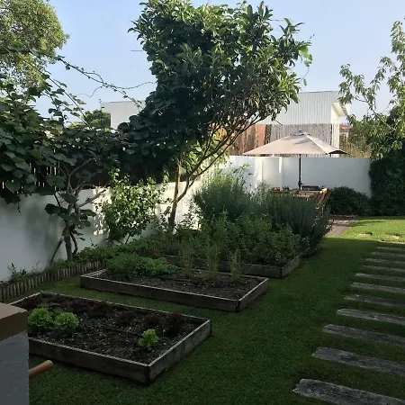 Casa Do Pinheiro 別荘