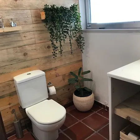 Casa Do Pinheiro Hébergement de vacances
